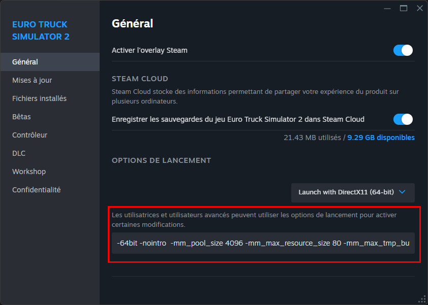 Emplacement du champ 'Options de lancement' du jeu dans Steam